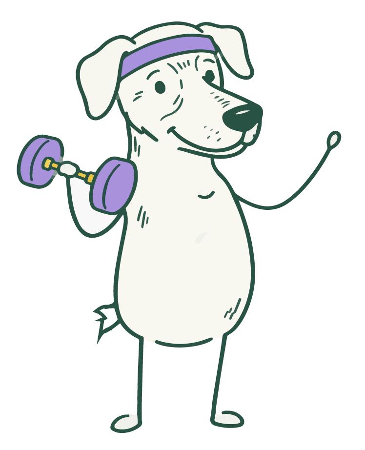 Ella, the Soma Co. dog mascot